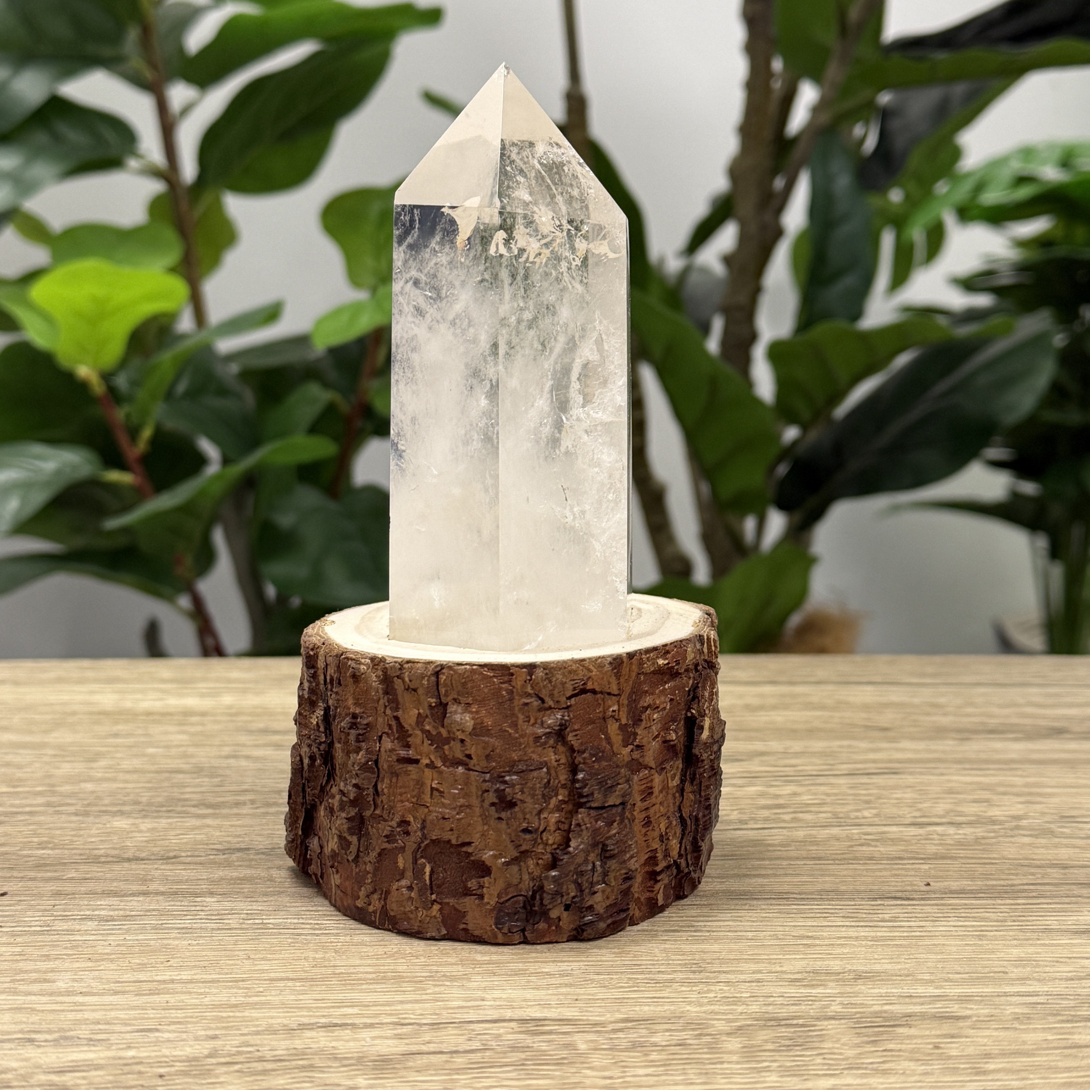 白晶柱 手圍18以上 WD1933