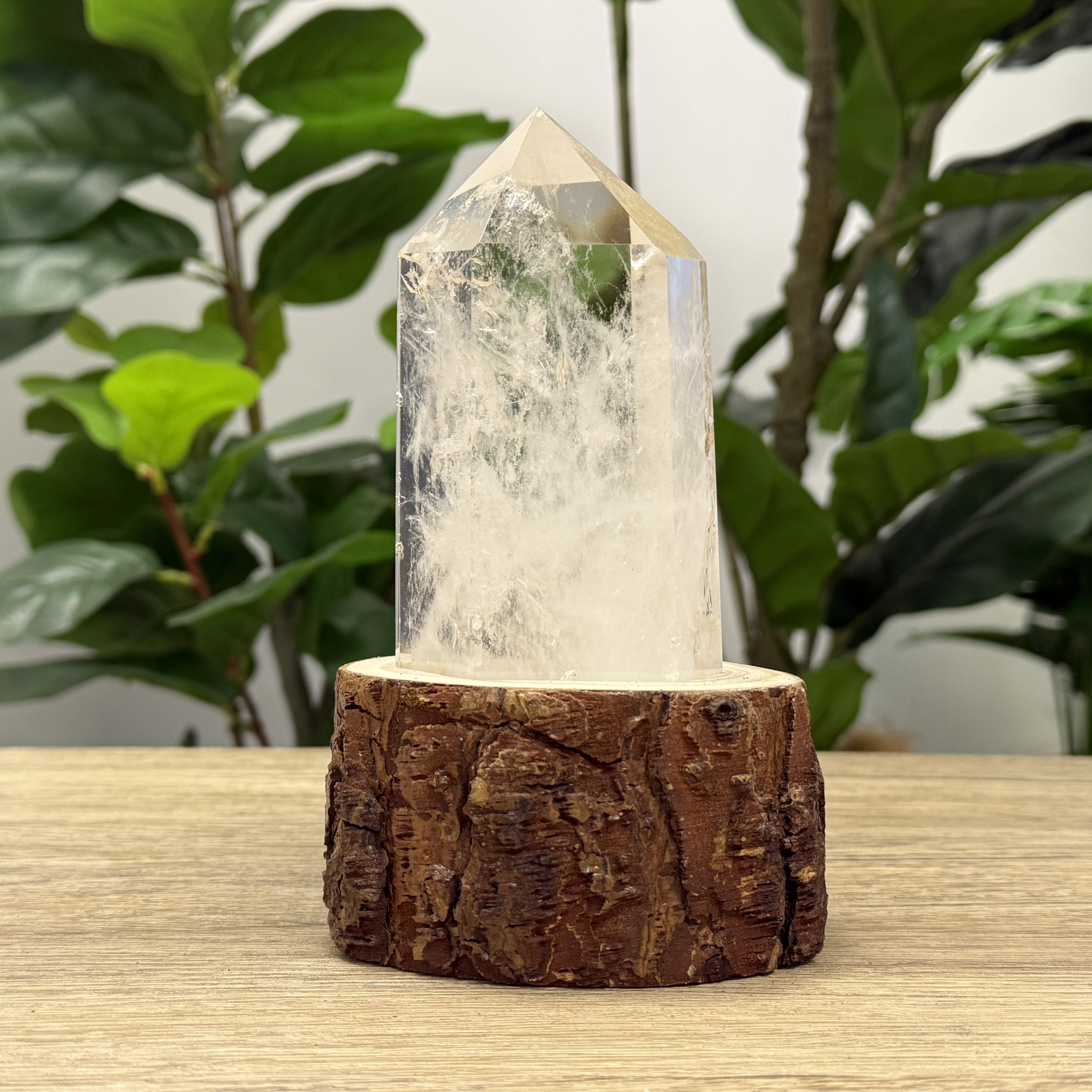 白晶柱 手圍18以上 WD1933