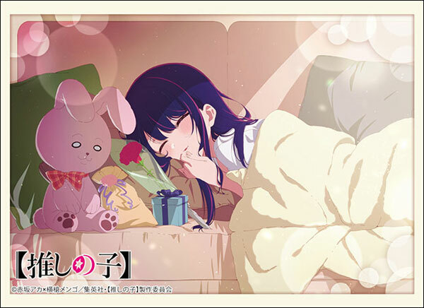 HG卡套及卡盒 我推的孩子 愛 Vol.4584及Vol.980