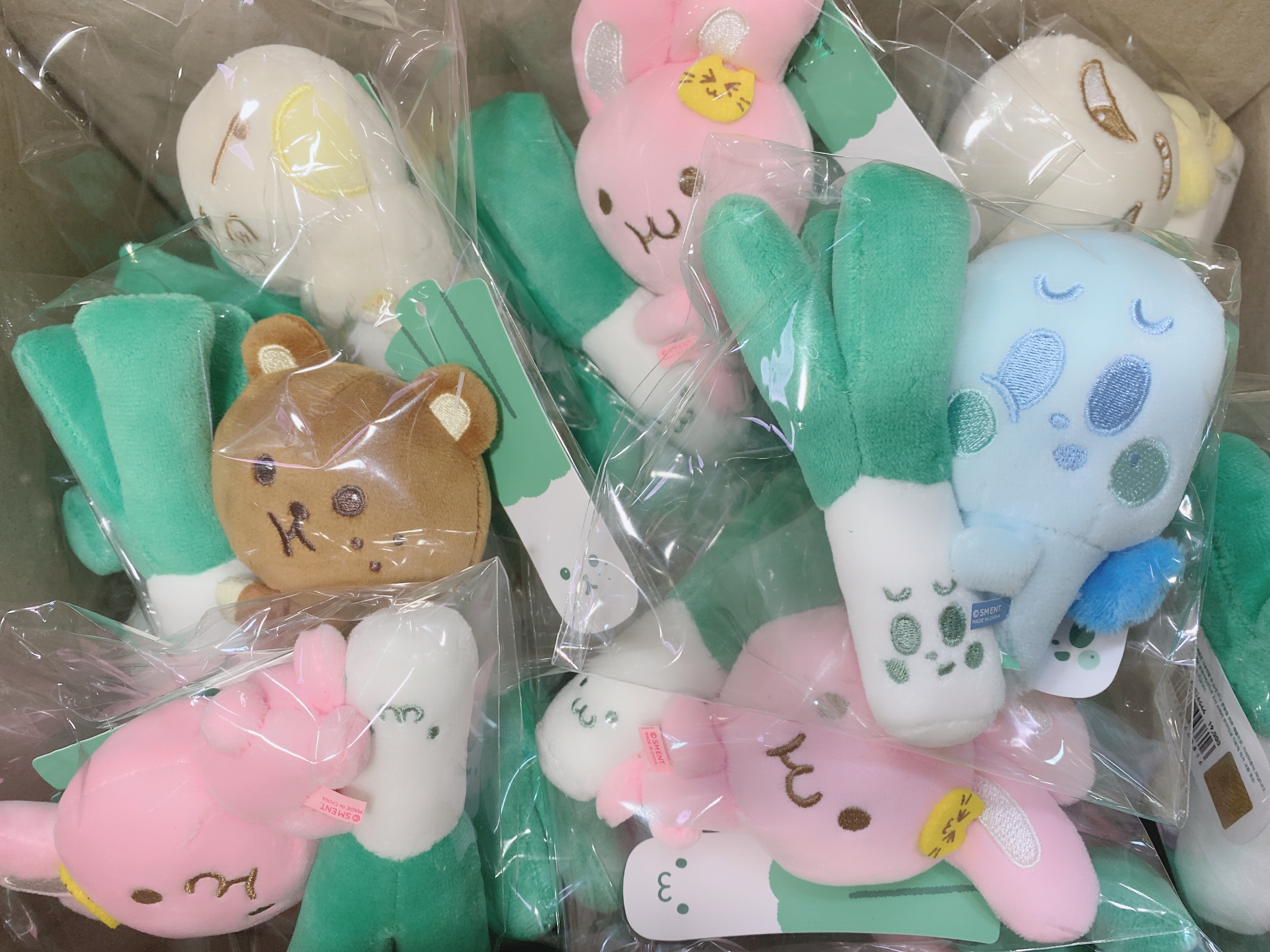 Nct Dream magnet mini doll