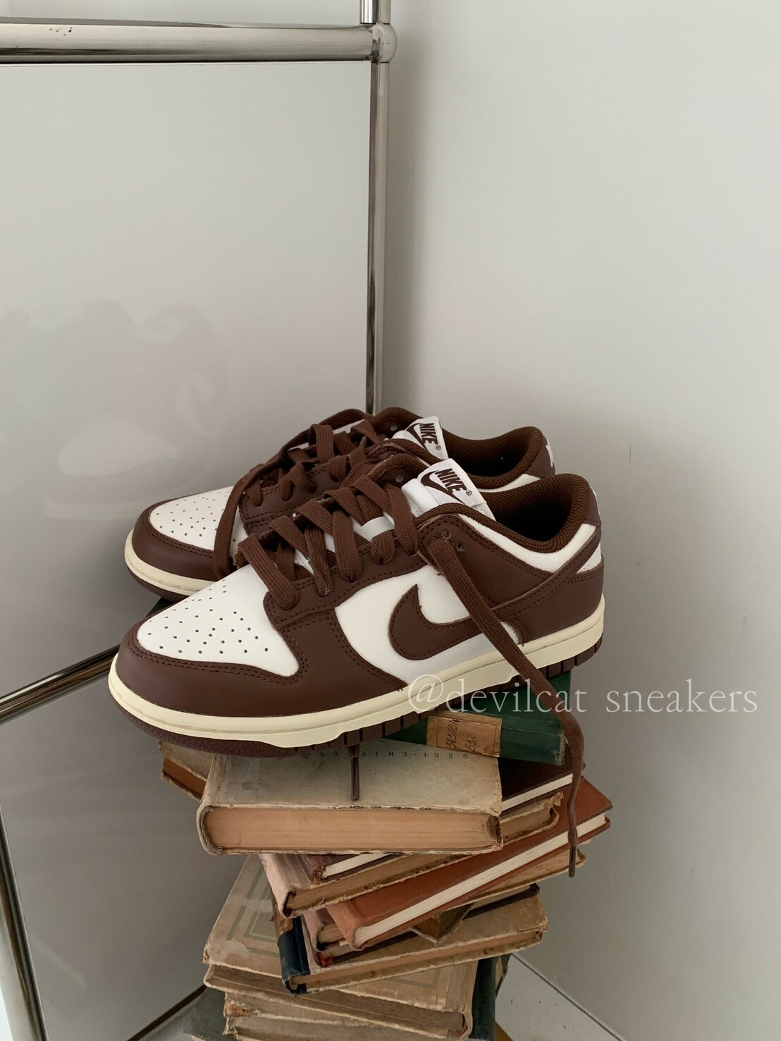 Nike W Dunk Low 低筒 摩卡可可 奶油底 DD1503-124