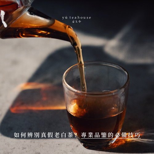 如何辨別真假老白茶？專業品鑒的必備技巧｜瑜茶舍