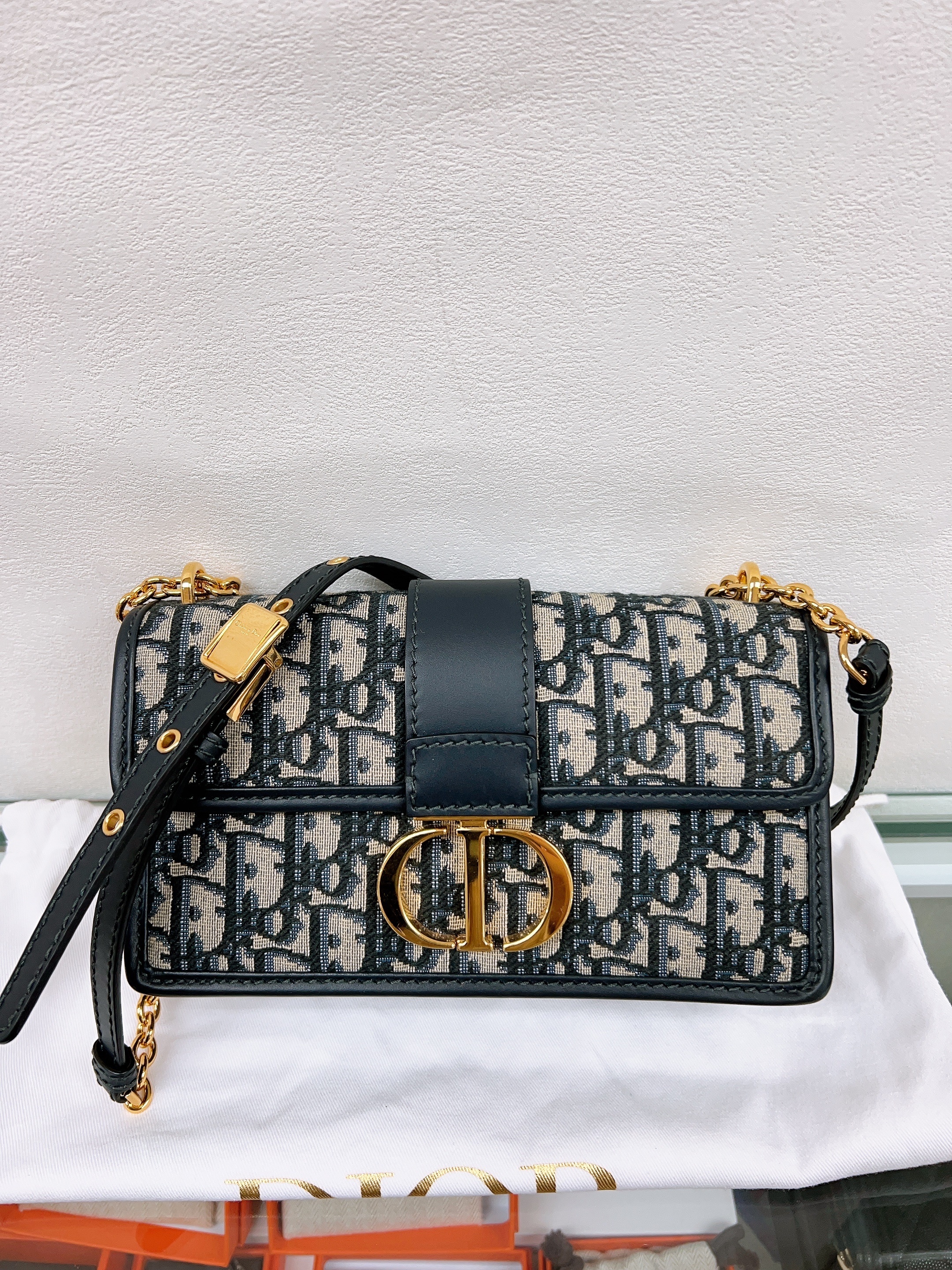 Dior 30 montaigne east west chain bag (blue oblique)