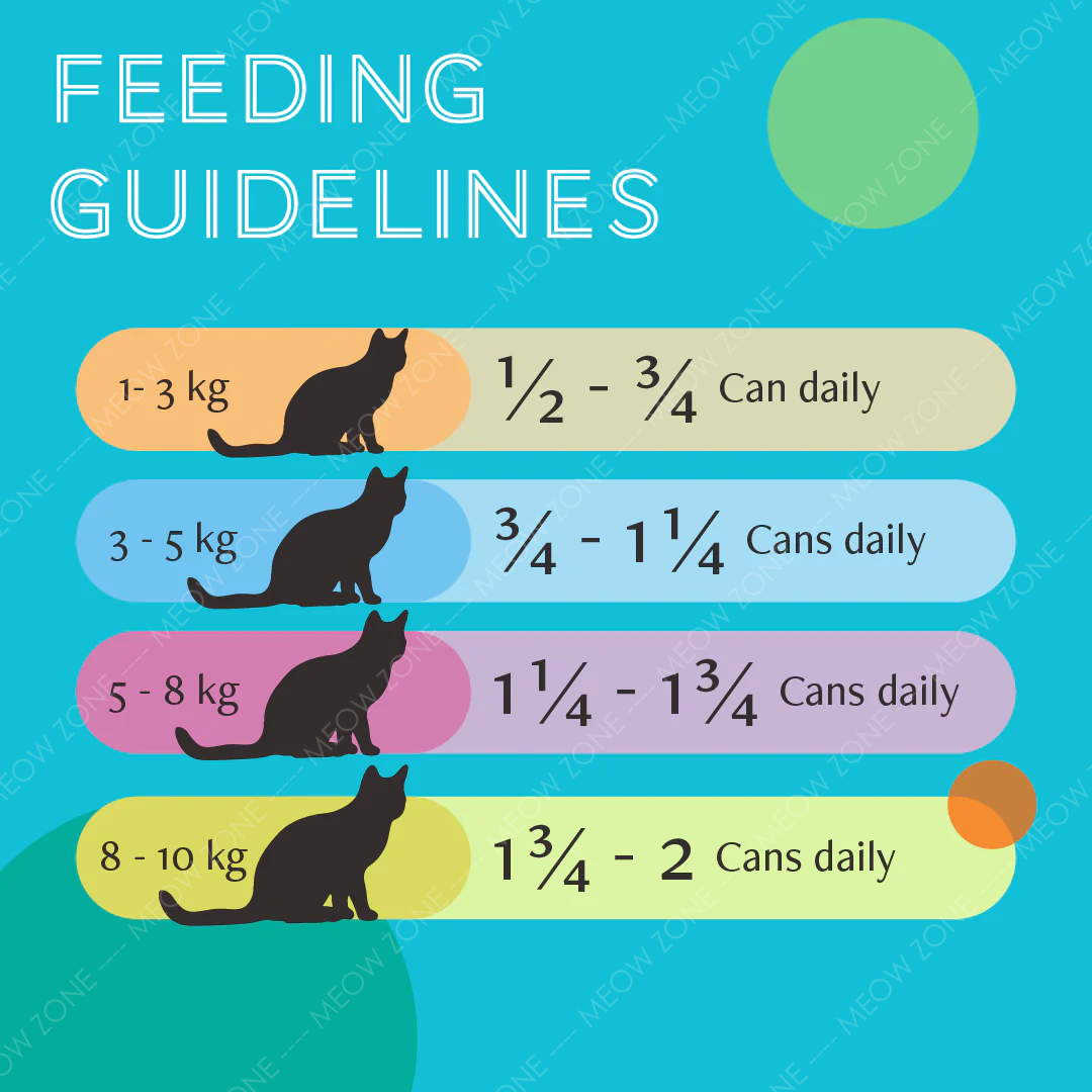 Daily Delight PURE Lysine 肉絲主食罐 80g l 貓星人基地 MeowZone