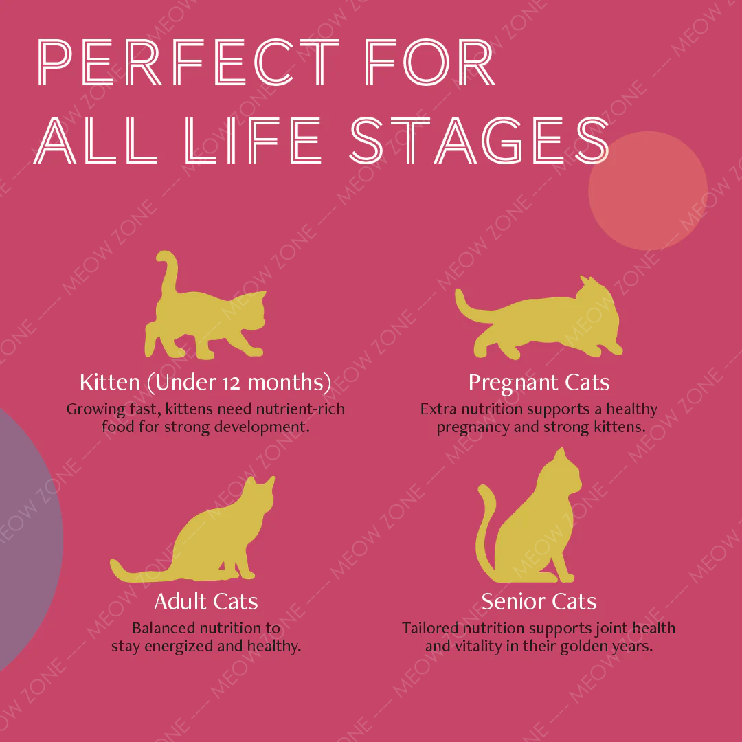 Daily Delight Mousee 營養慕絲主食罐 80g l 貓星人基地 MeowZone