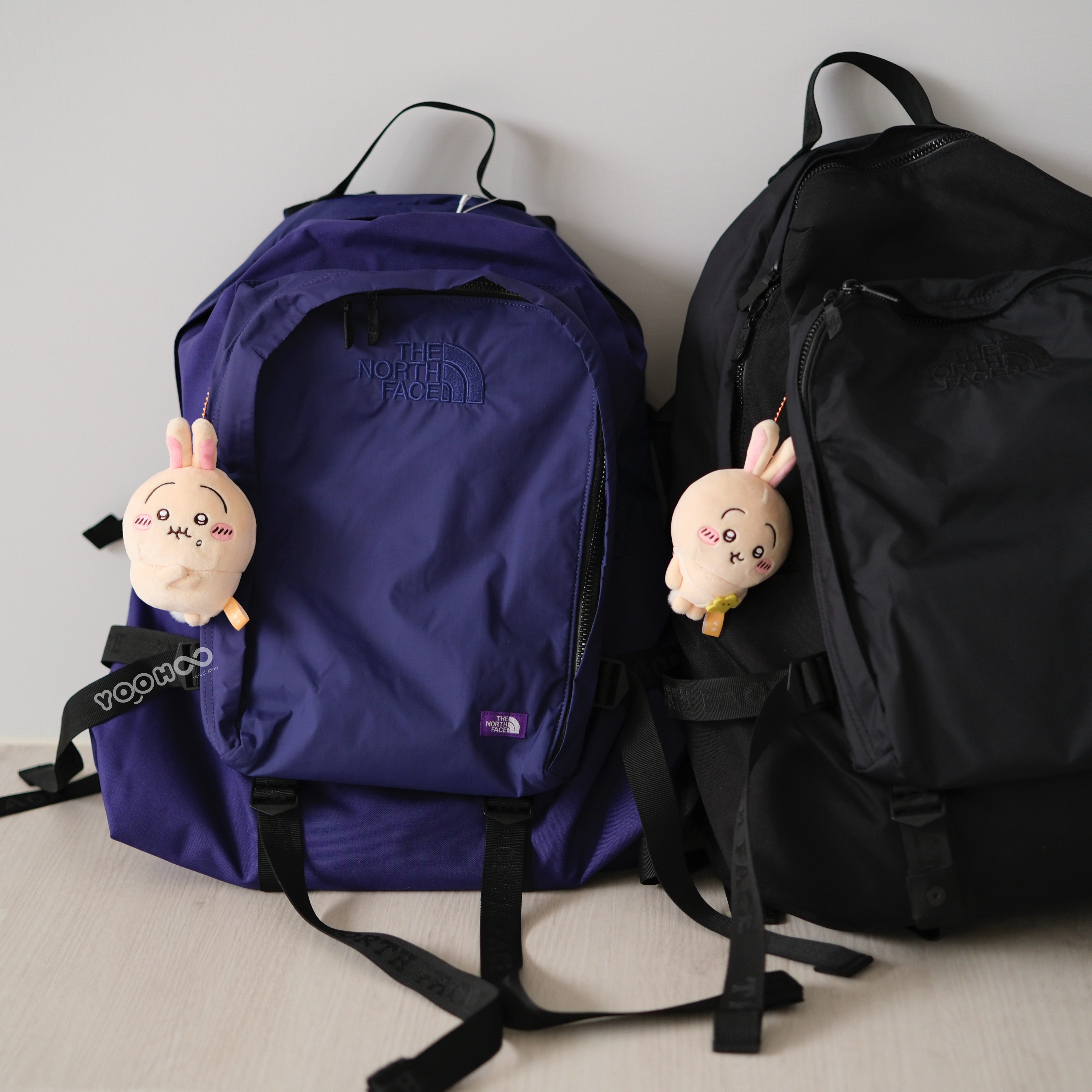 折扣現貨┃TNF 紫標 CORDURA Nylon Day Pack 後背包 20L