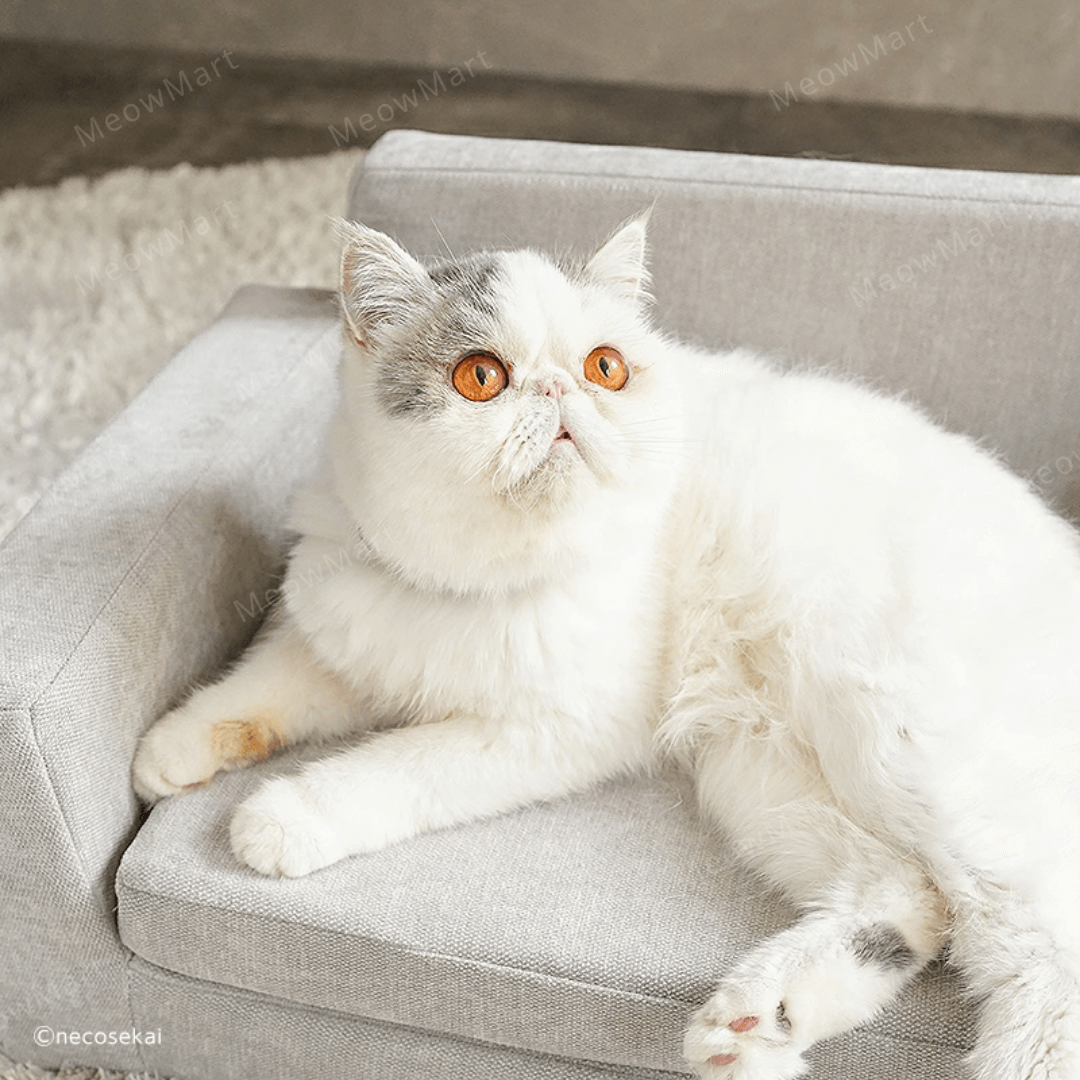 日本necosekai貓咪防水梳化床