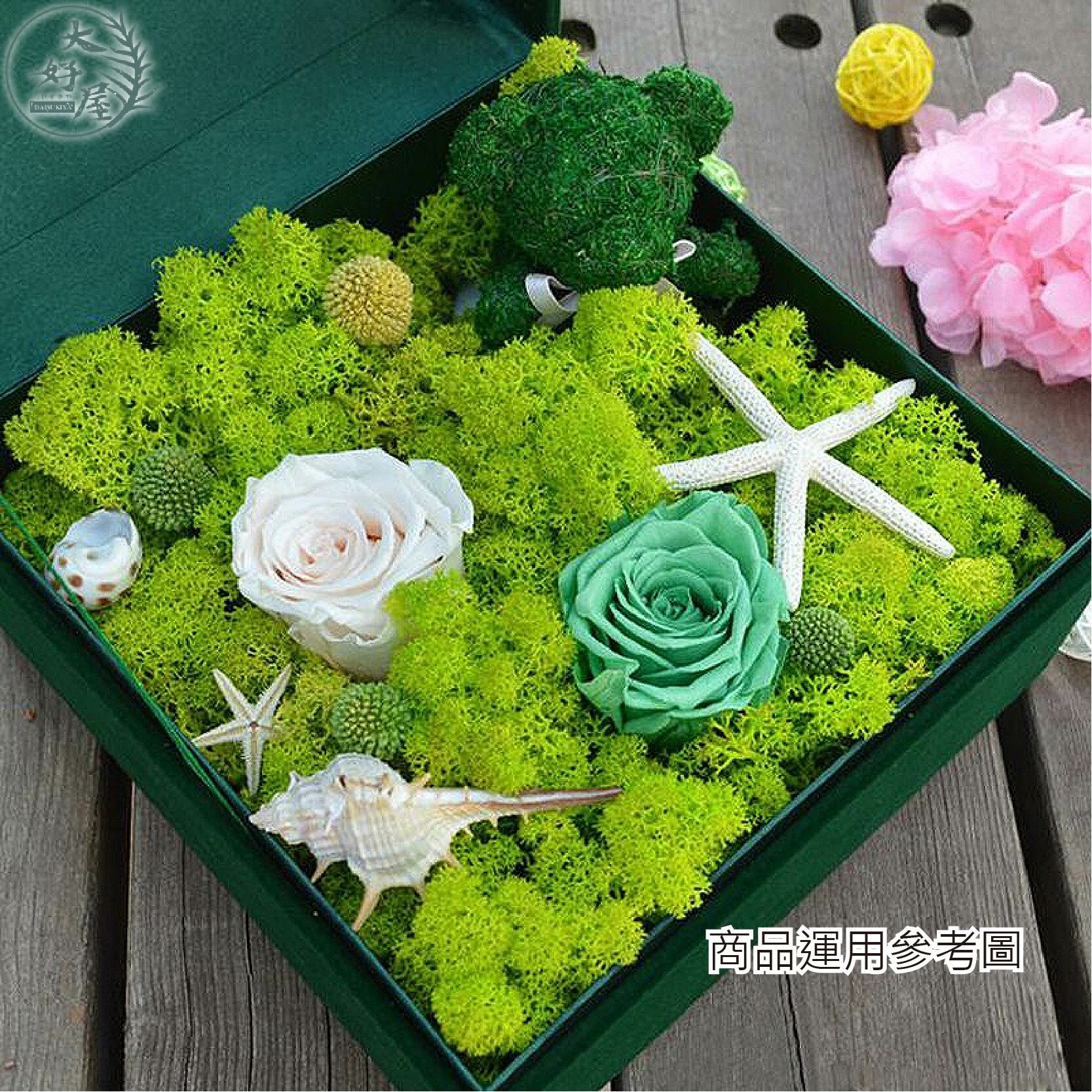 永生MOSS馴鹿草【500克 / 原裝紙盒】