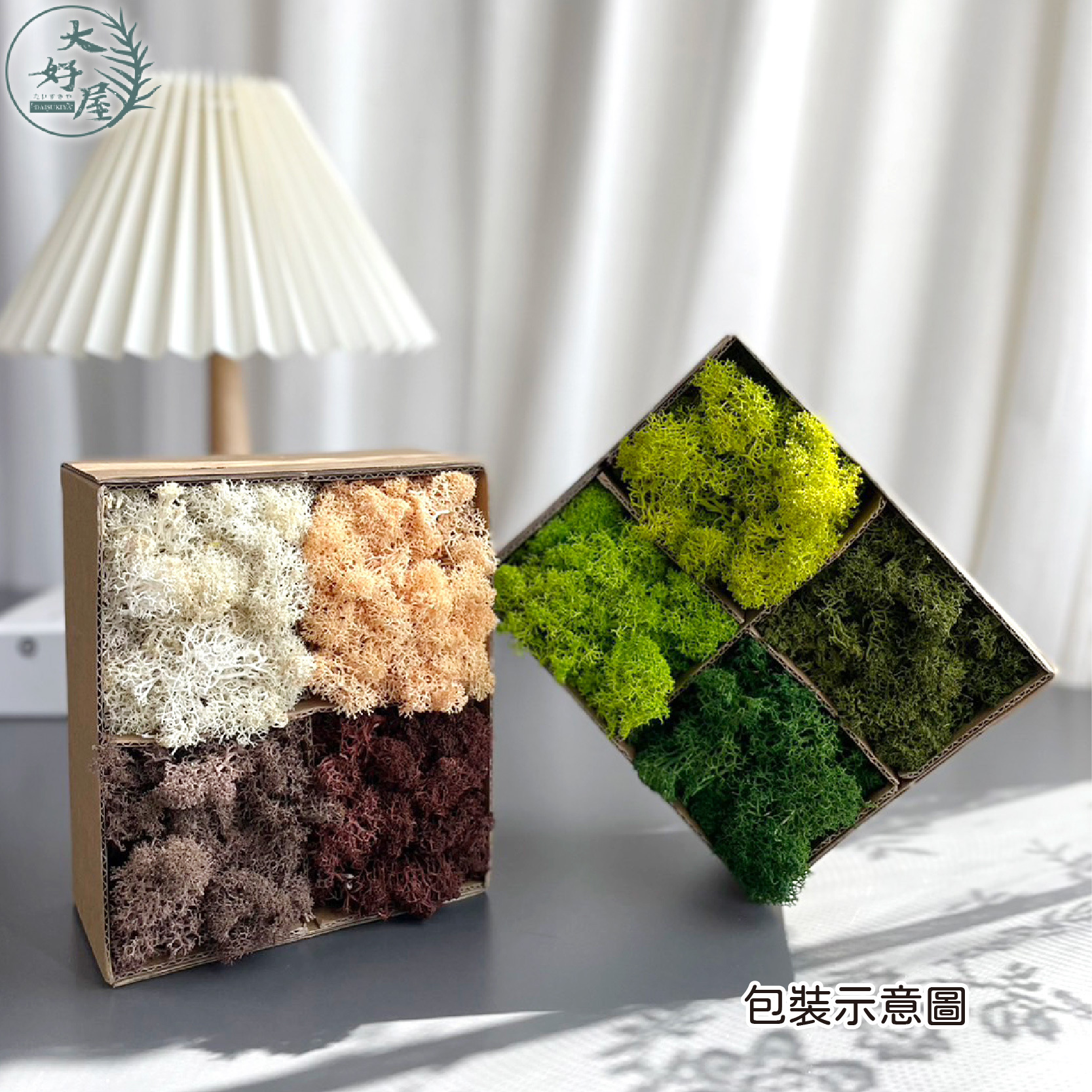 永生MOSS馴鹿草【拚色/四格紙盒】