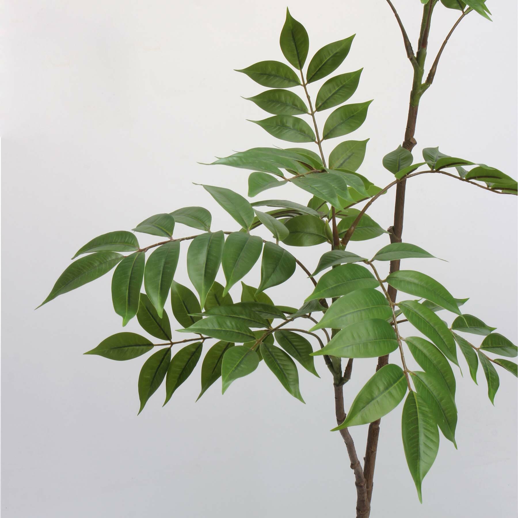 仿真漆木樹【單支】