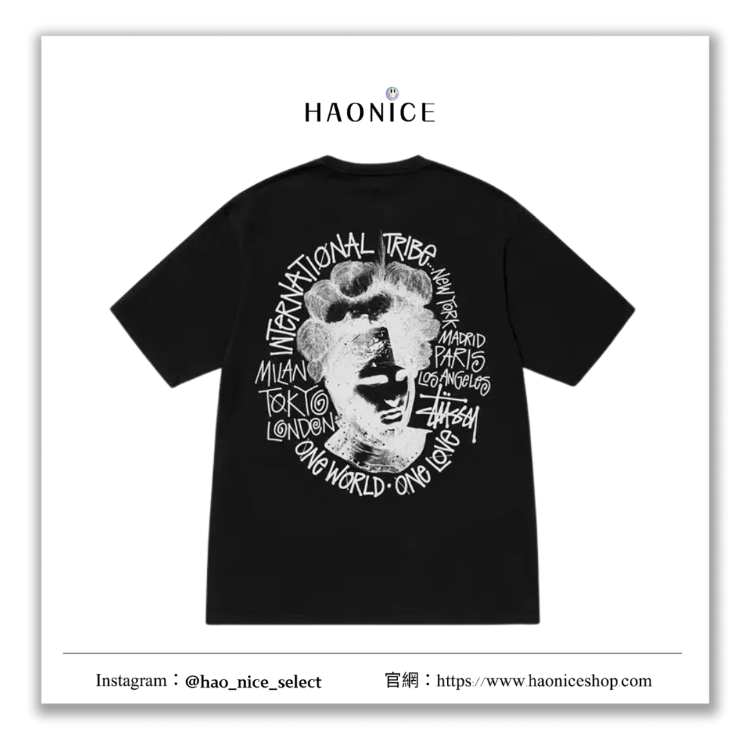 【HAO NICE 】美國🇺🇸街頭潮流 Stussy 24SS Camelot Tee 卡美洛 人像塗鴉 短T 街頭感🈵️🈵