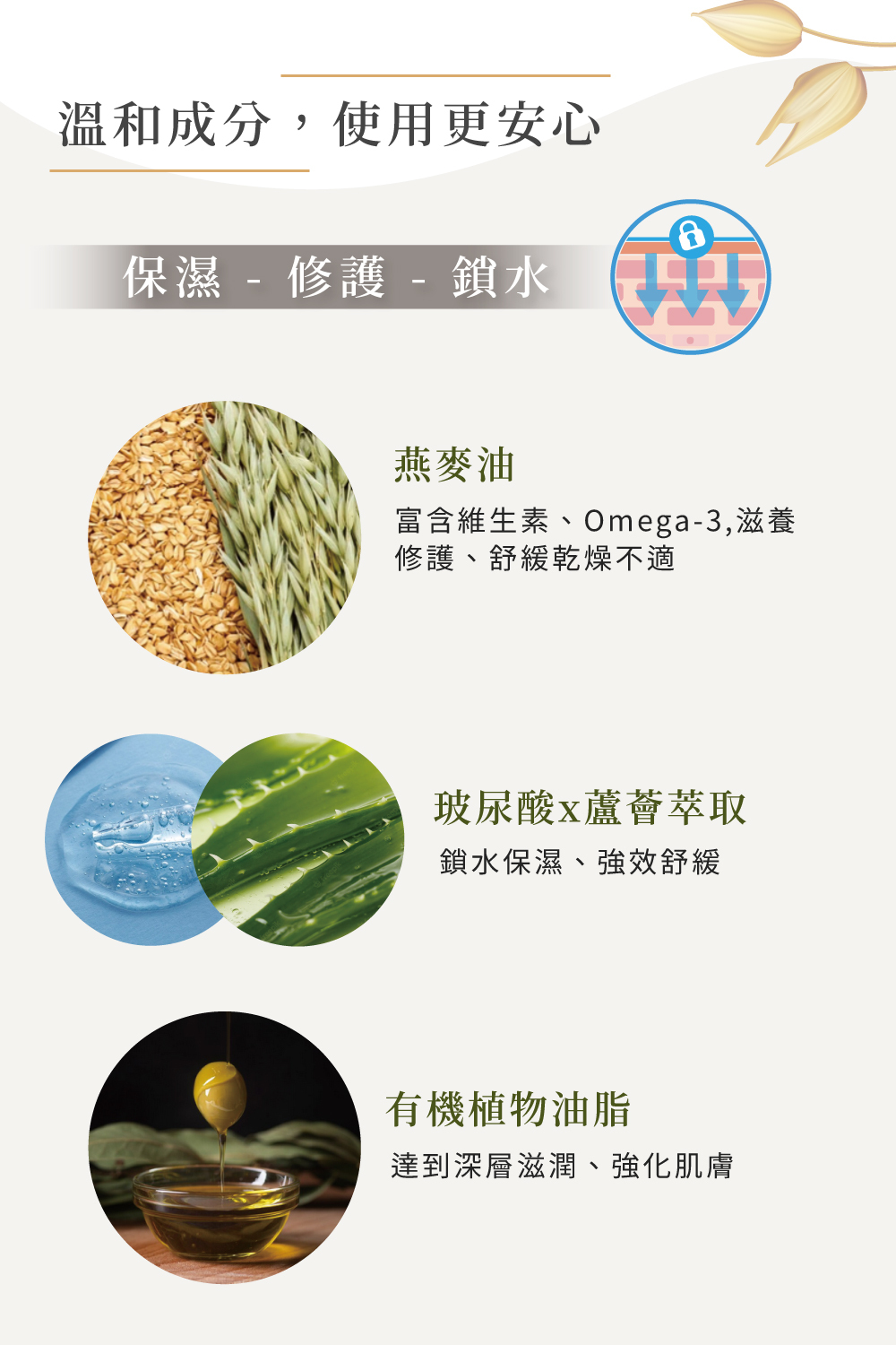 成分介紹