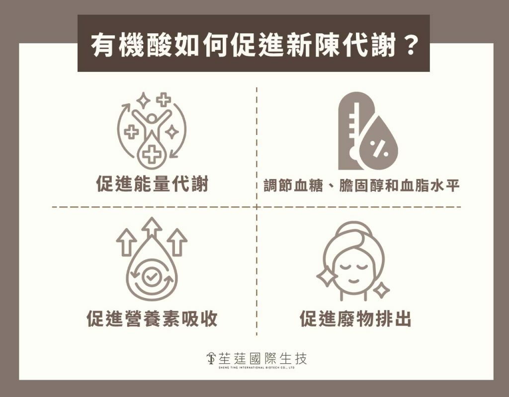 有機酸如何促進新陳代謝？