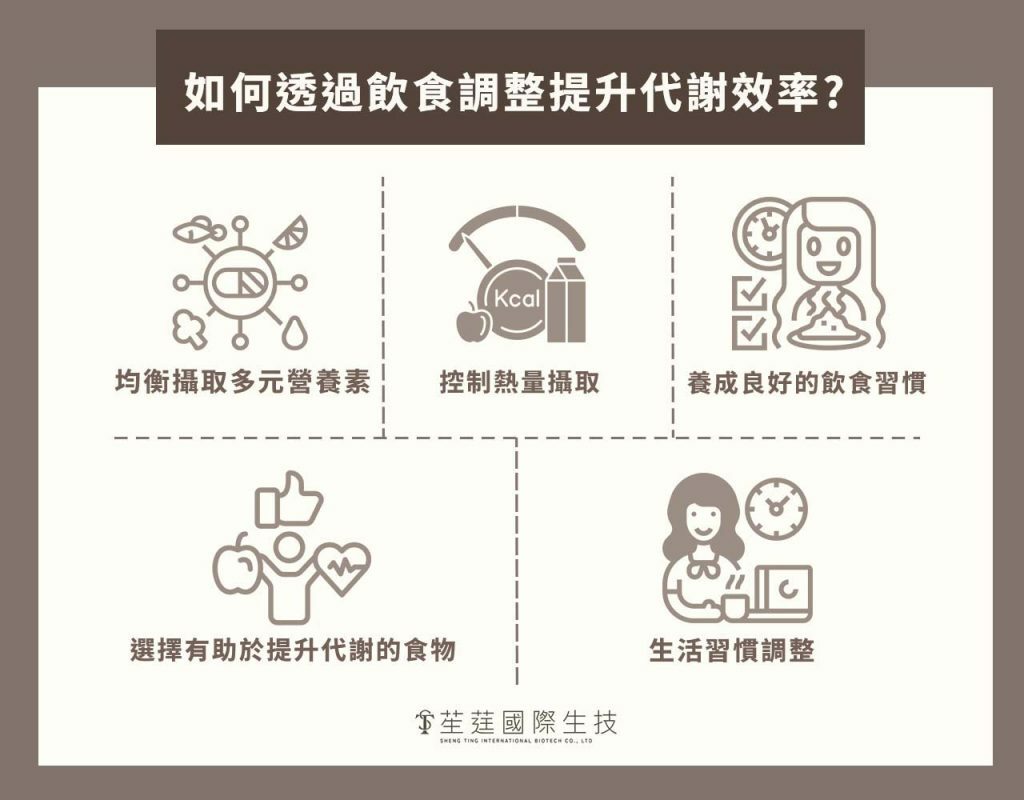 如何透過飲食調整提升代謝效率?