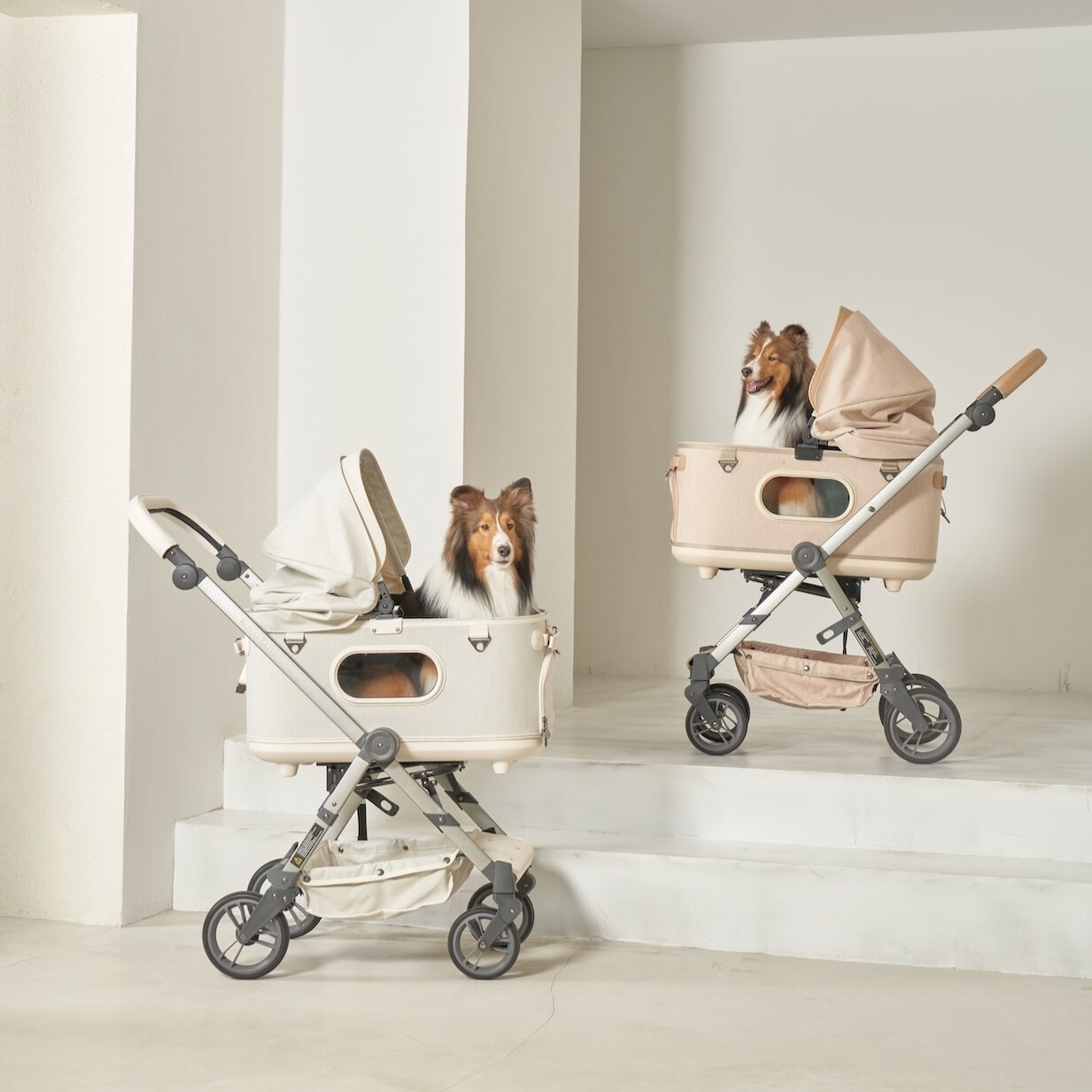 RoyalTails New Grace 旗艦分離式推車