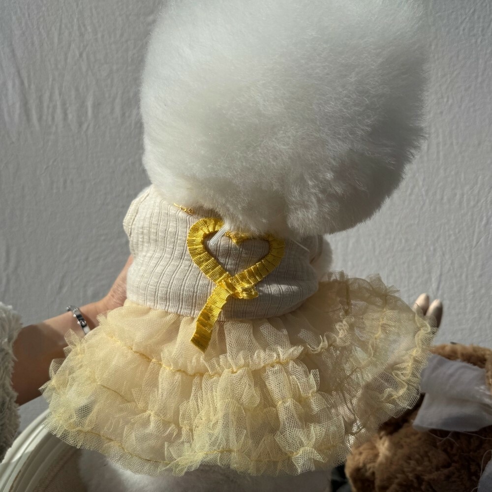 COZY-N 愛情紗裙洋裝