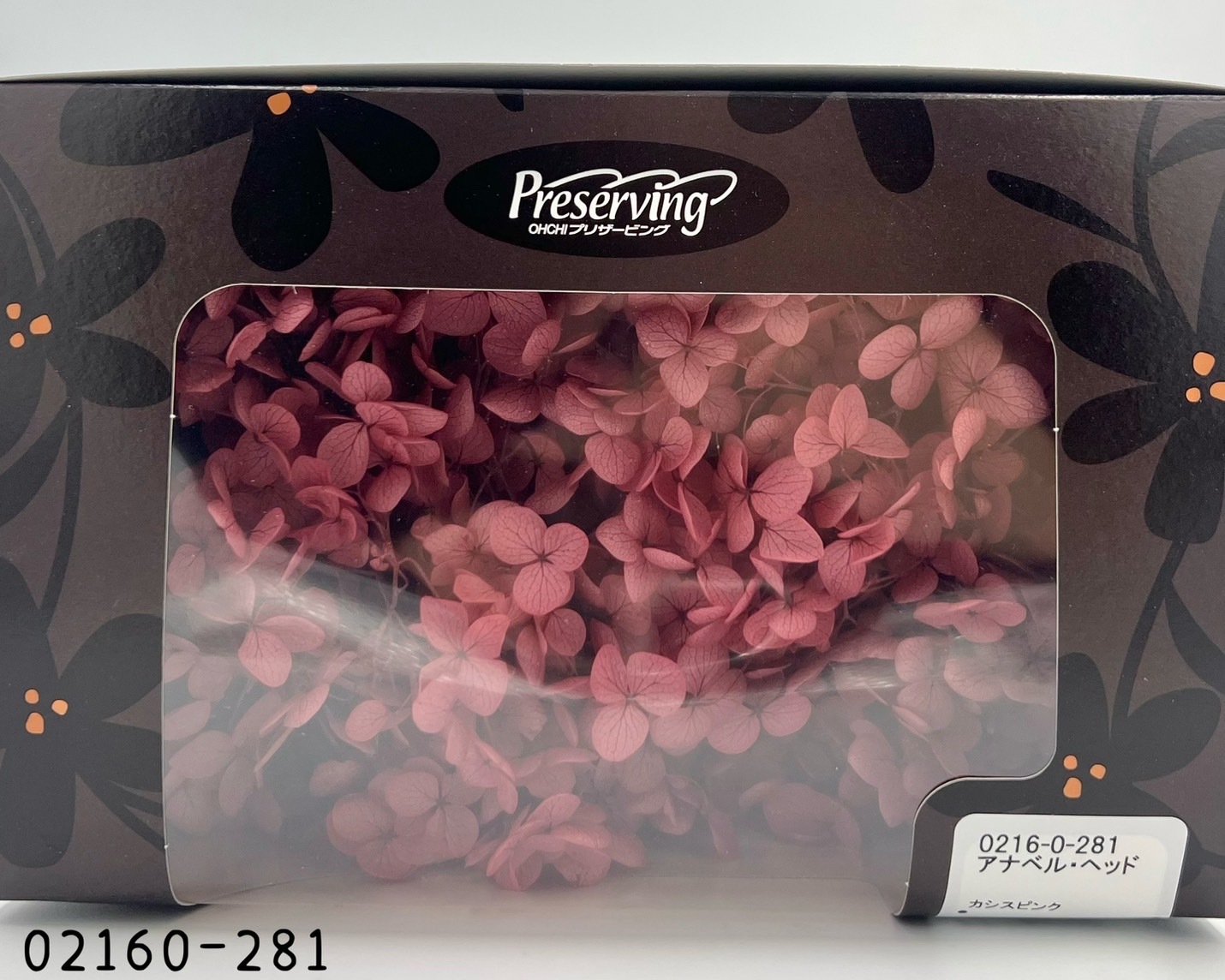 日本不凋安娜繡球 02160-281