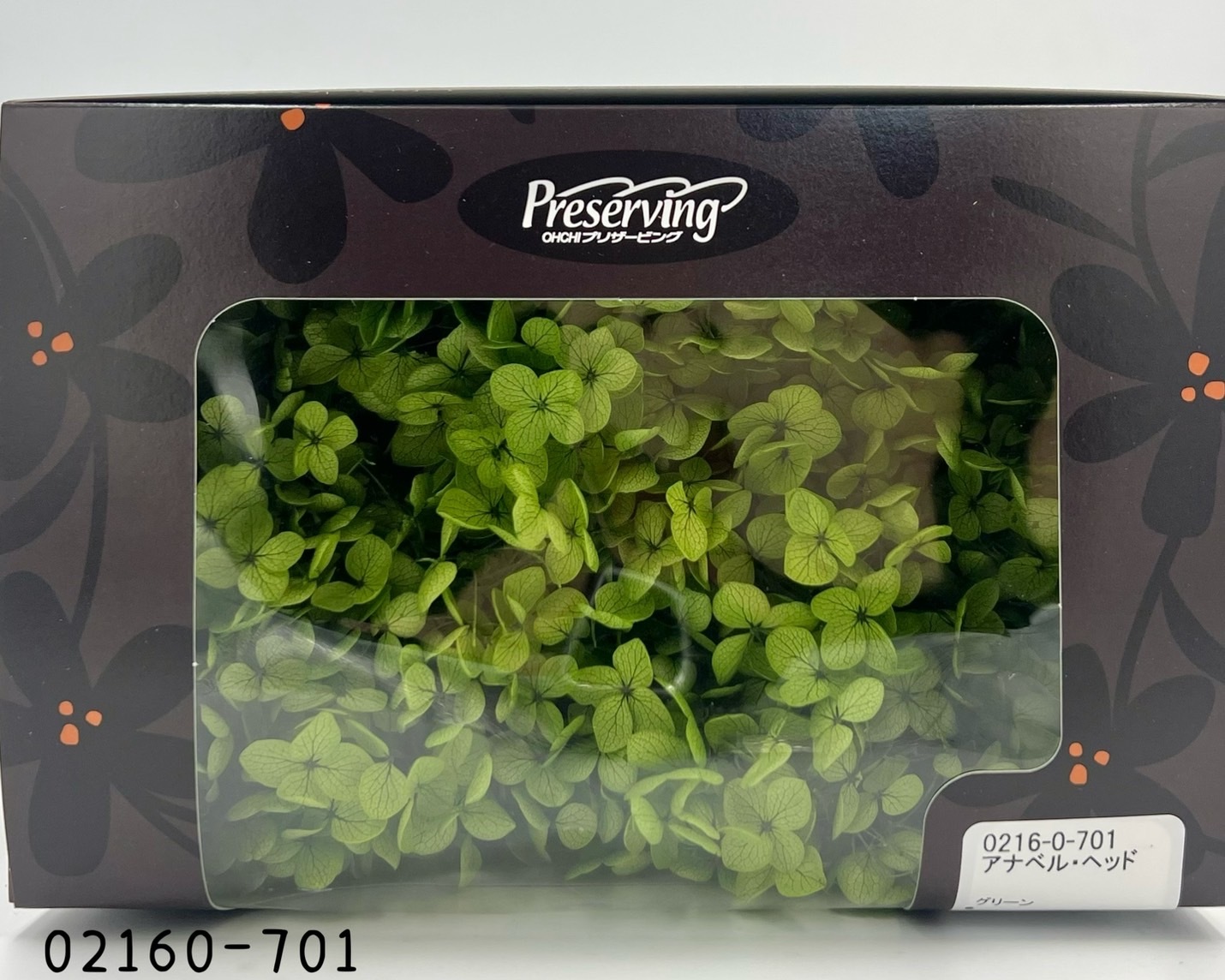 日本不凋安娜繡球 02160-701