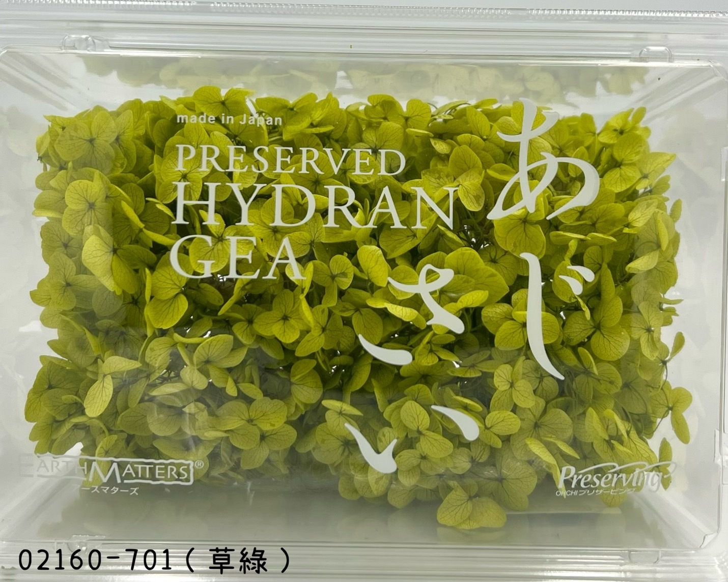 日本不凋安娜繡球 02160-701(草綠)