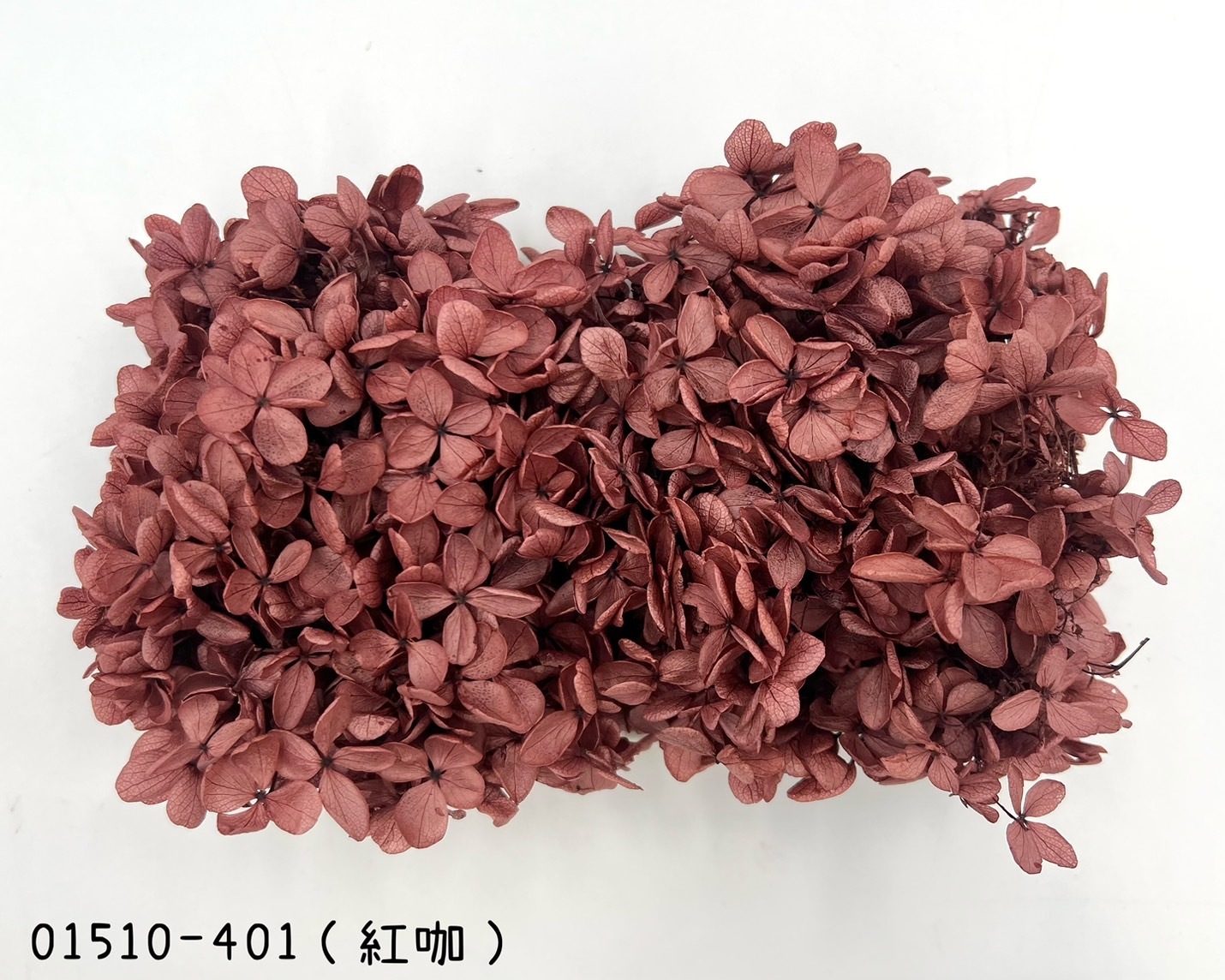 日本不凋中葉繡球 01510-401(紅咖)