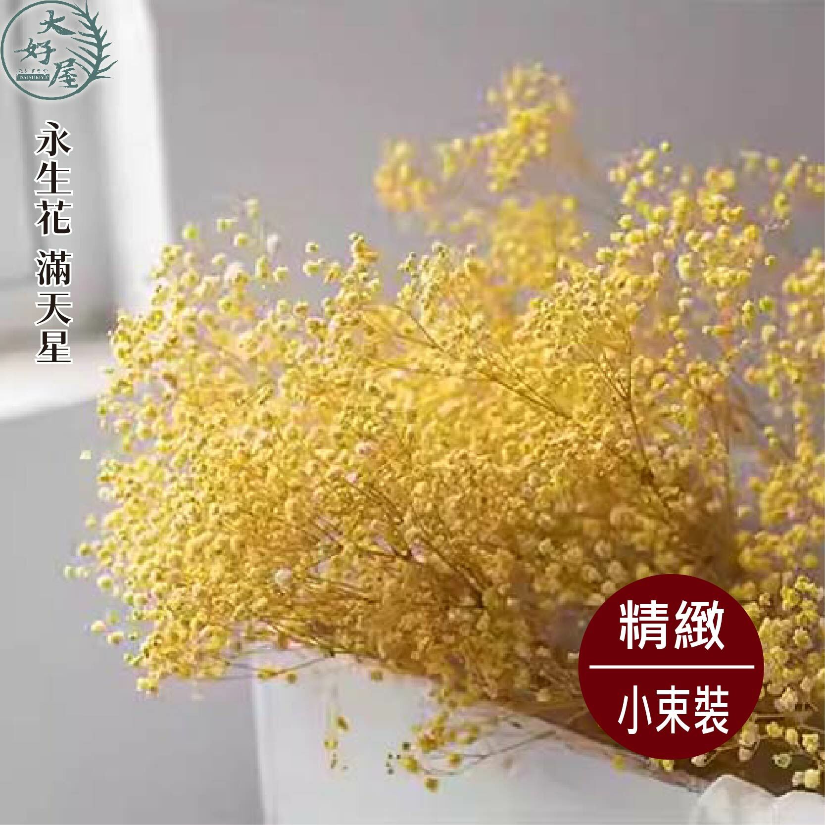 永生滿天星【小】