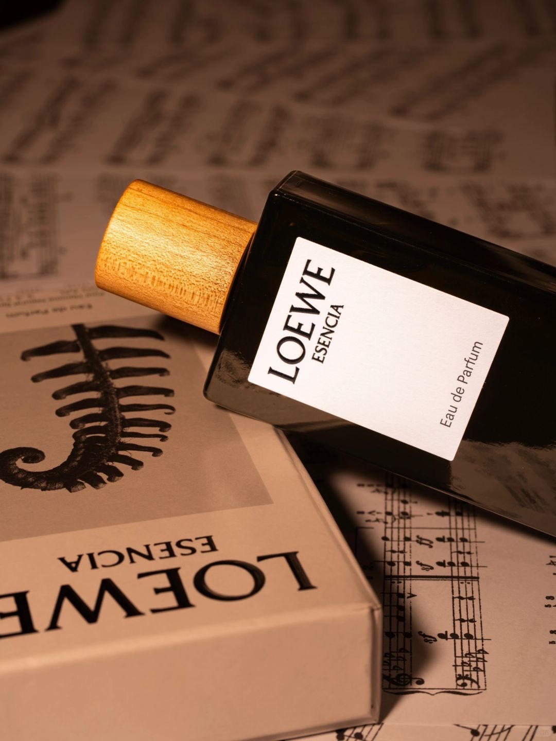 LOEWE 黑色圓舞曲淡香精