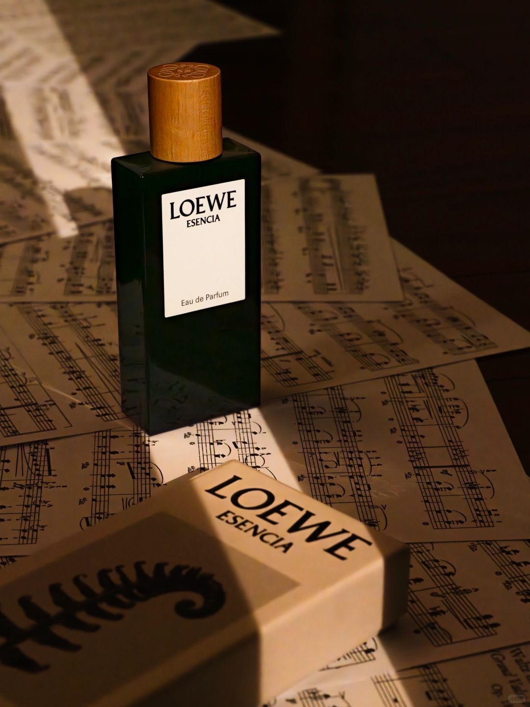 LOEWE 黑色圓舞曲淡香精