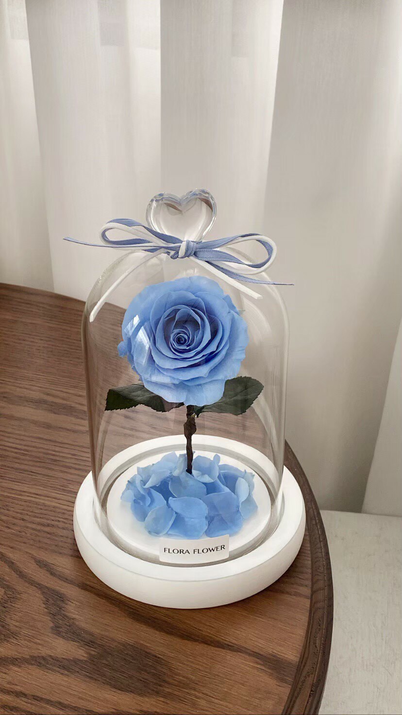 小王子永生玫瑰- 公主藍