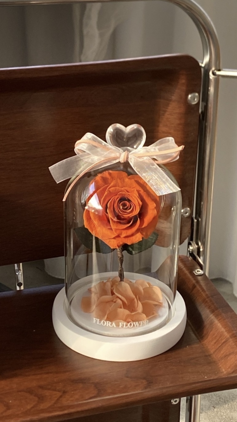 小王子永生玫瑰- 柑橘橙