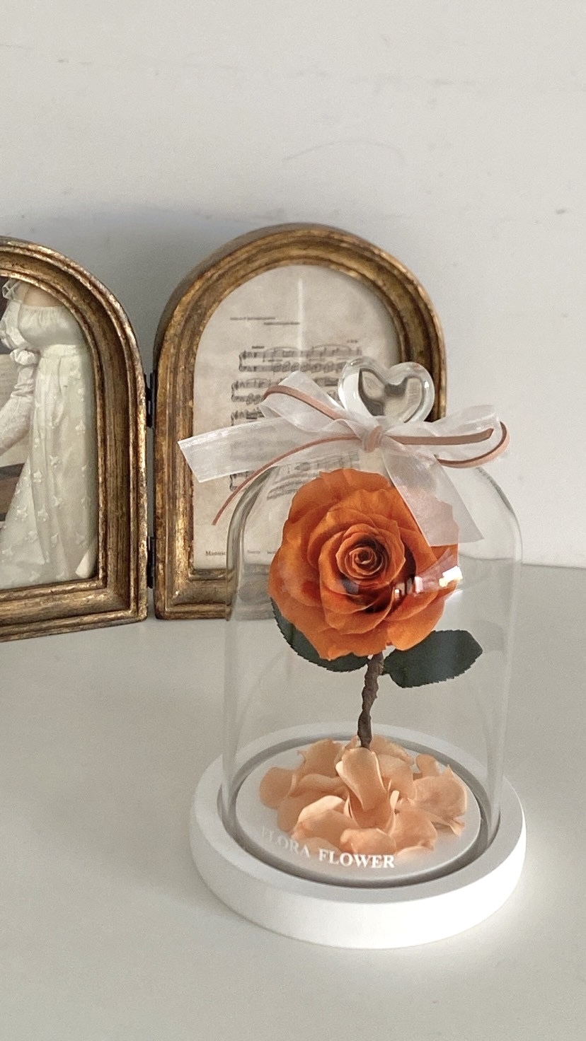 小王子永生玫瑰- 柑橘橙