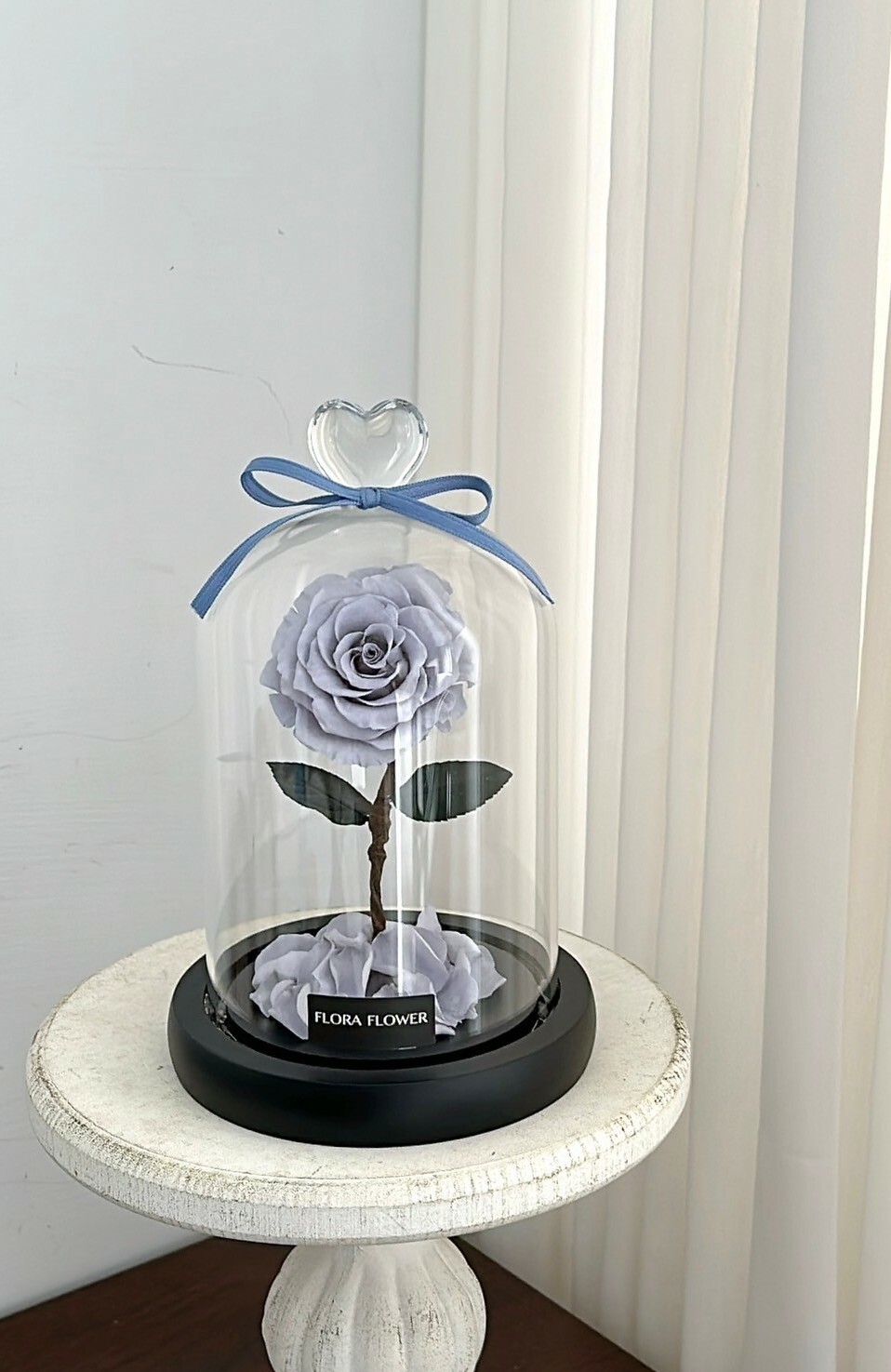 小王子永生玫瑰花 - 星空