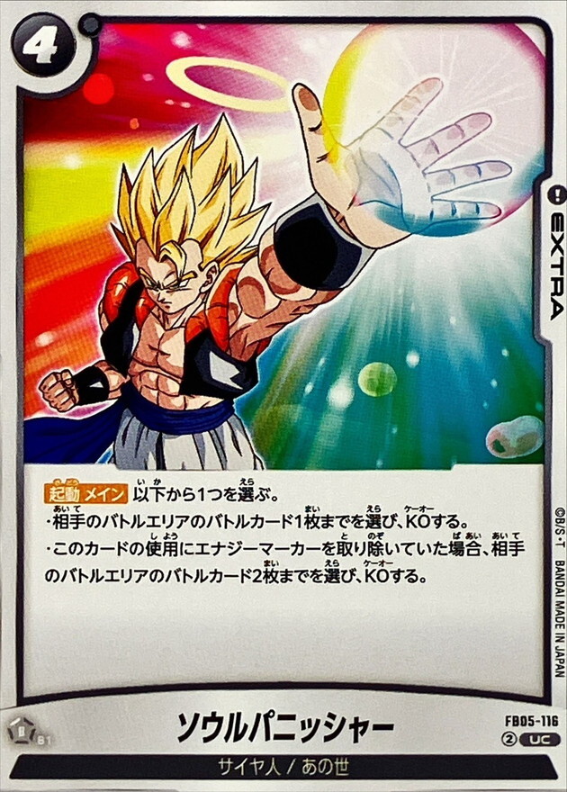 FB05-116 ソウルパニッシャー