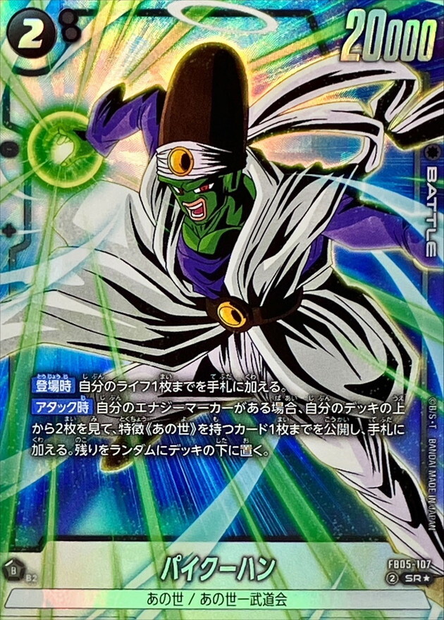 FB05-107 パイクーハン(パラレル)