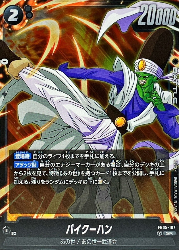 FB05-107 パイクーハン