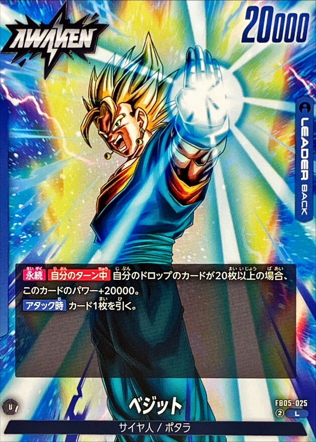 FB05-025 ベジット