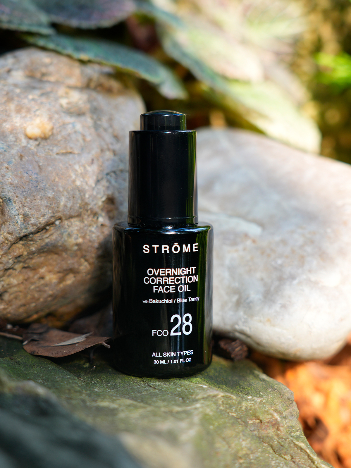 油彩画　【Smellful】 3S 油彩画 【Smellful】 3S 油彩画 【Smellful】 3S