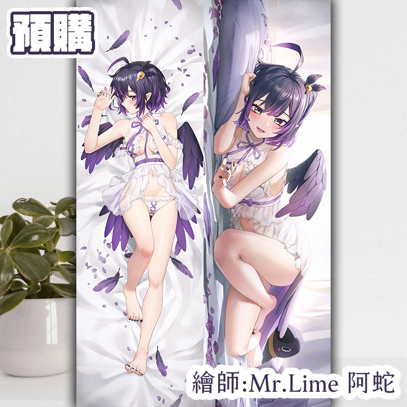 預購｜渡渡雙面等身抱枕 ❄️復刻