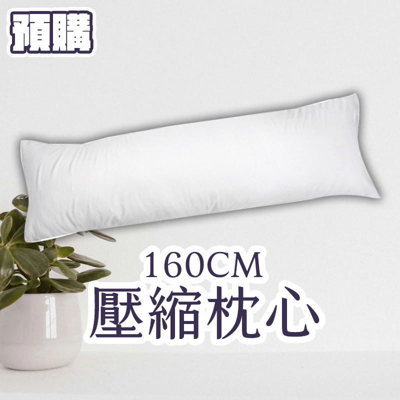 預購｜等身抱枕枕心