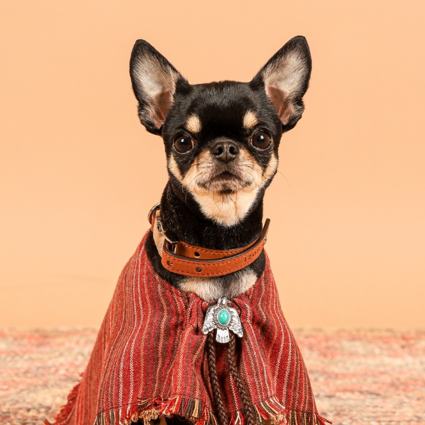 Poncho印第安斗篷