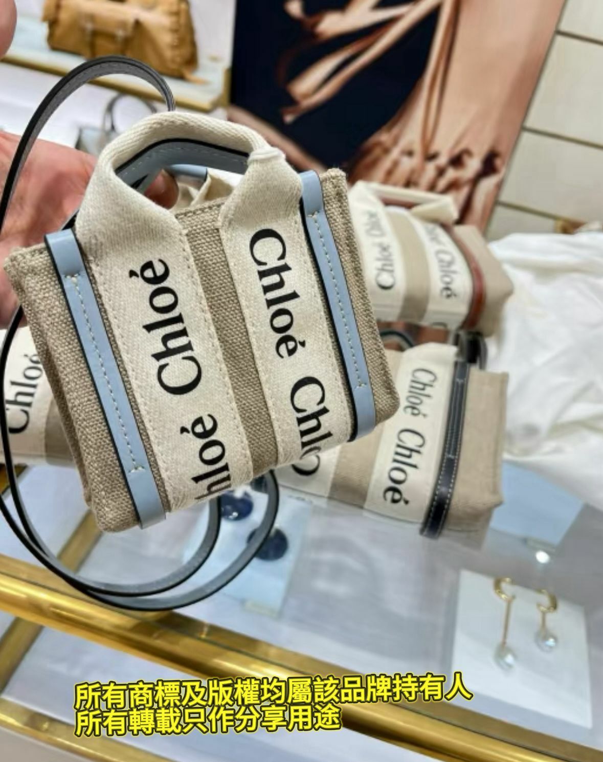 【預購】Chloe Nano Woody Linen G021706 Tote 包包