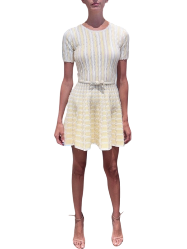 ‍‍Elisabetta Franchi 針織網紗洋裝-附腰帶(淺黃)