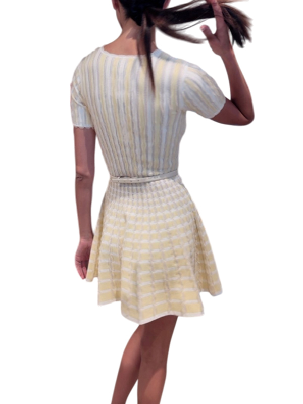 ‍‍Elisabetta Franchi 針織網紗洋裝-附腰帶(淺黃)