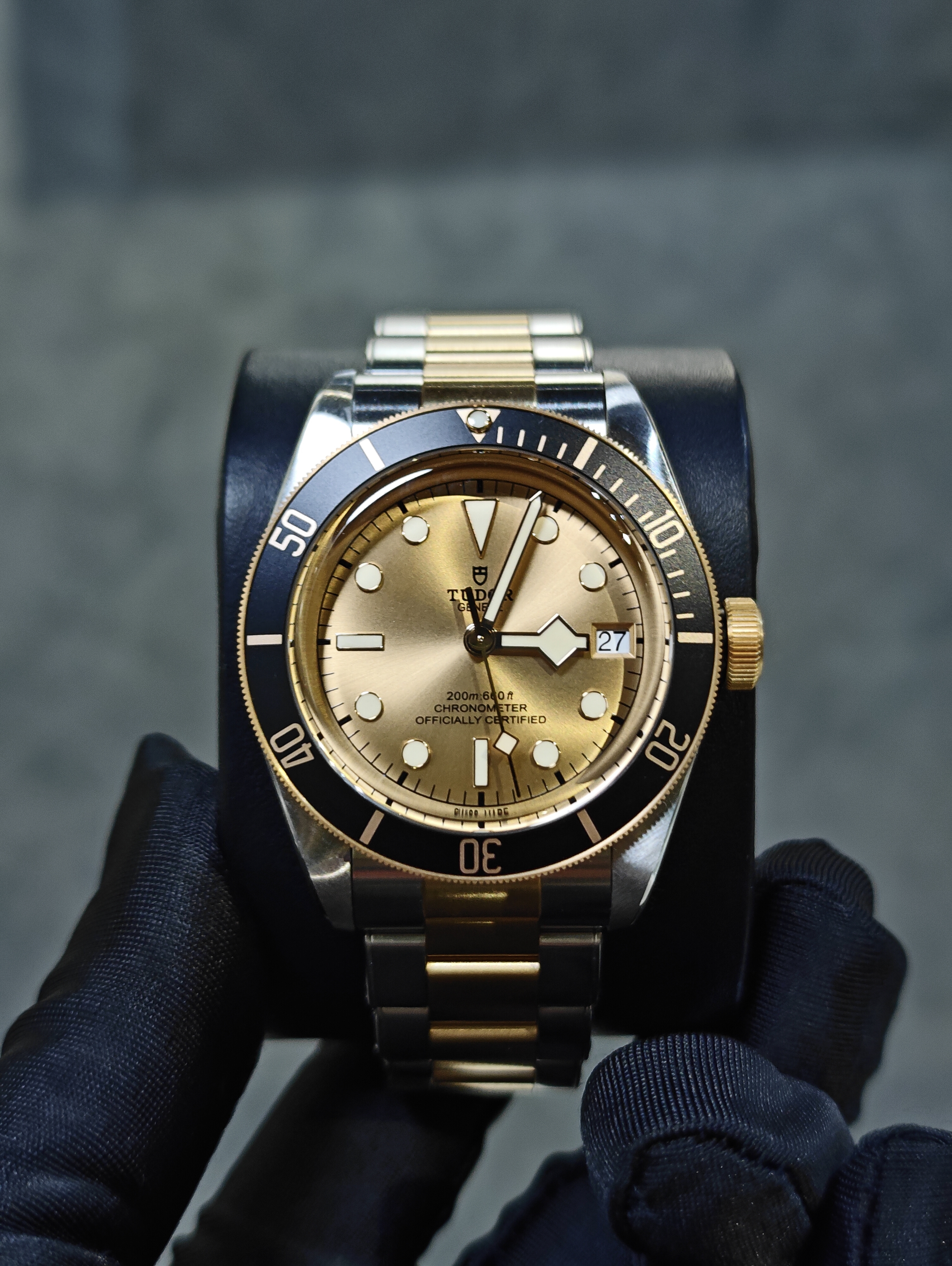M79733N-0004 | TUDOR CHAMPAGNE BLACK BAY S&G STEEL 41MM