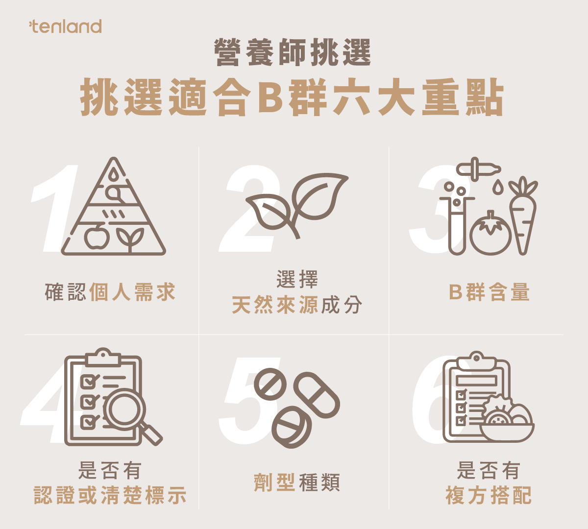 挑選適合B群的6大重點