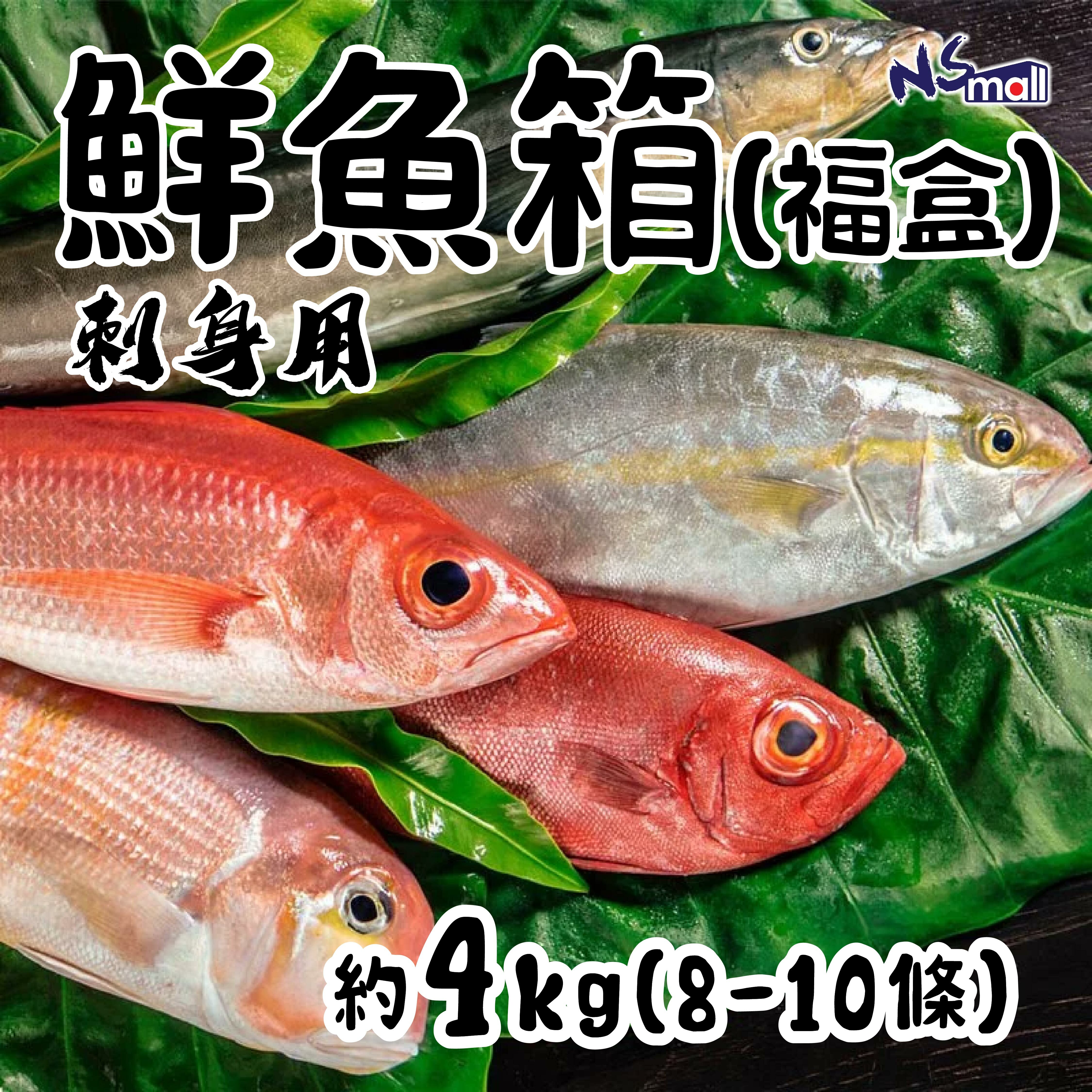 日本刺身用鮮魚箱(福盒) 約2.5kg(5條)/約4kg (8-10條)