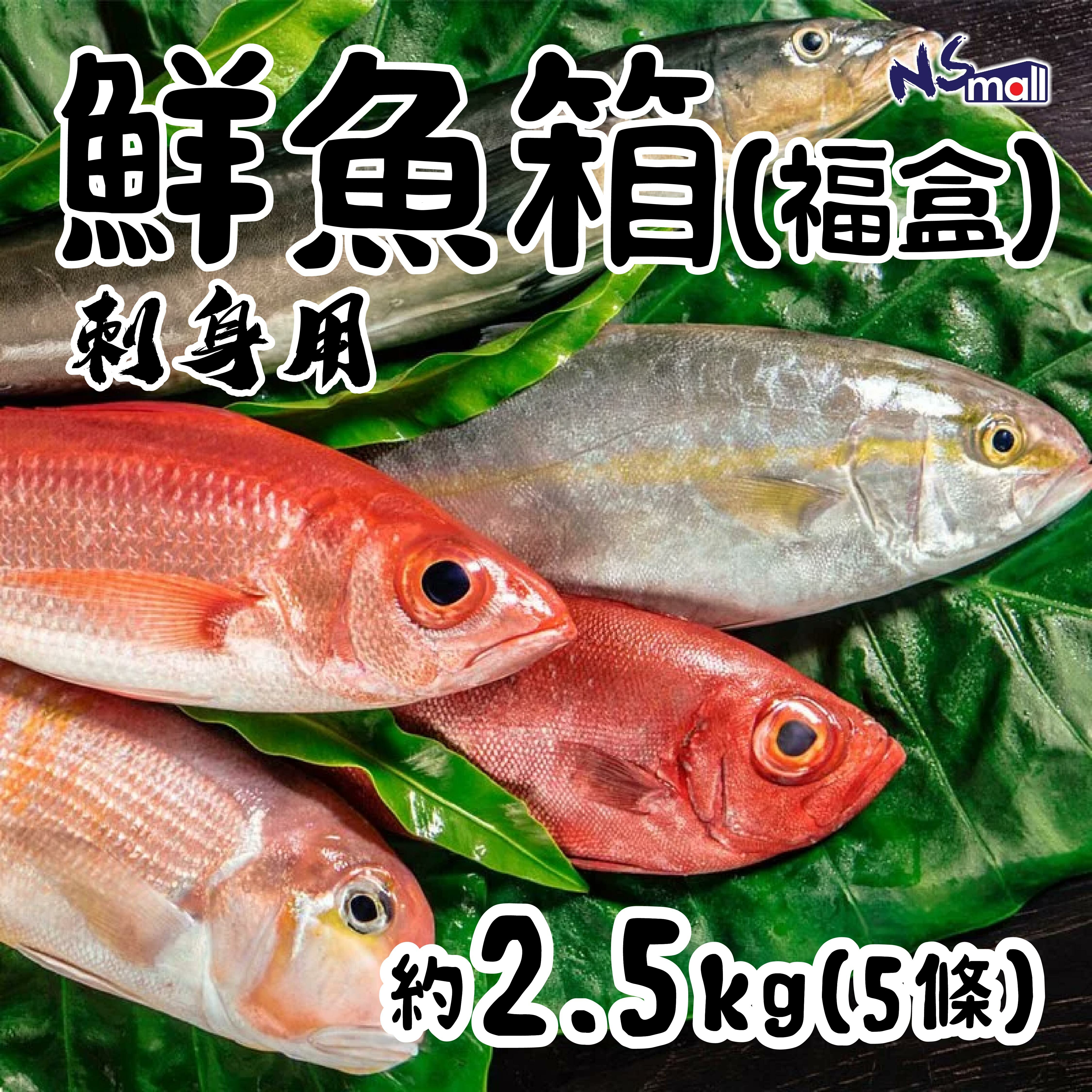日本刺身用鮮魚箱(福盒) 約2.5kg(5條)/約4kg (8-10條)