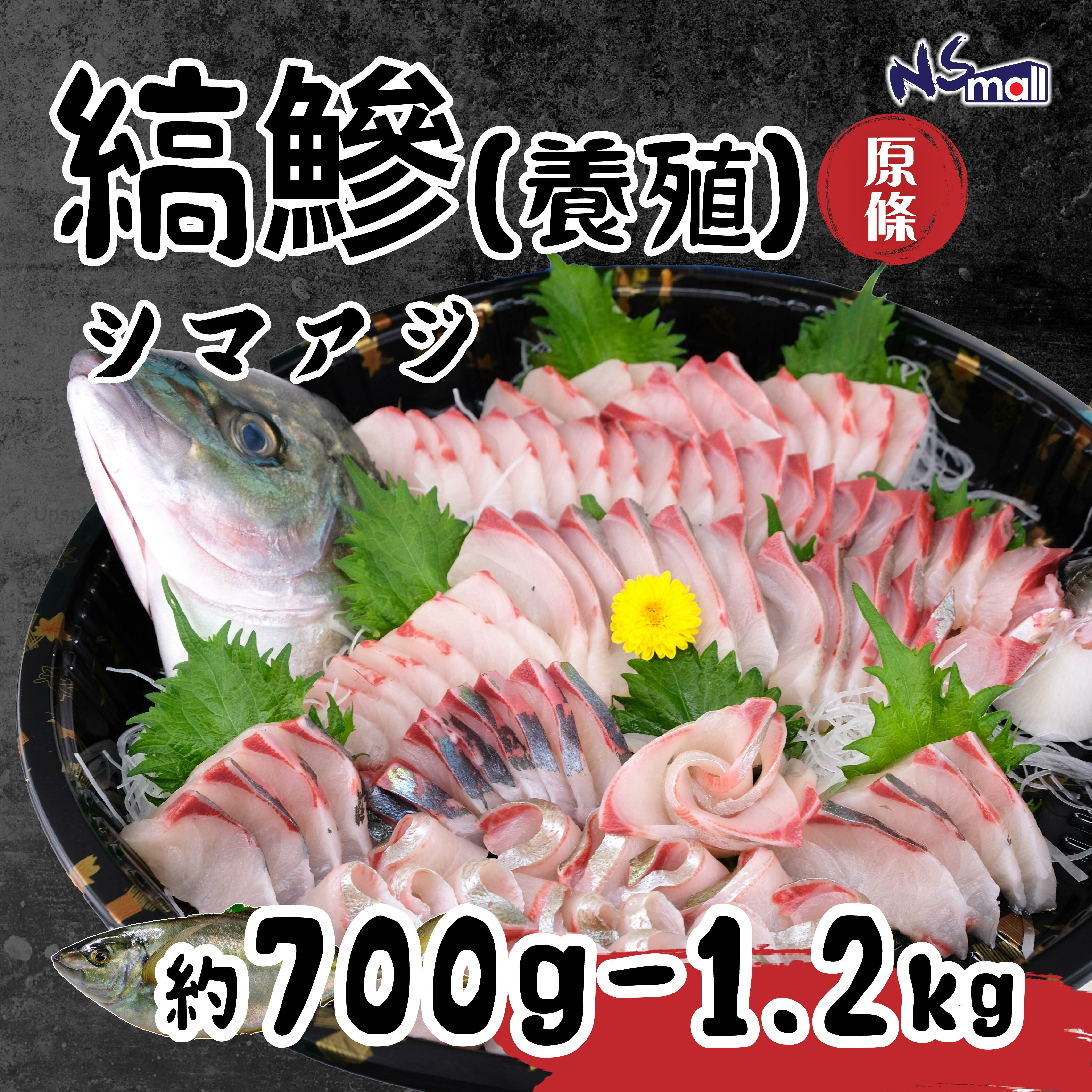 縞鰺/池魚皇/深海池魚(養殖) 700g-1.2kg