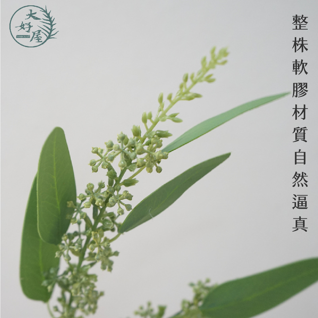 仿真尤加利小米果