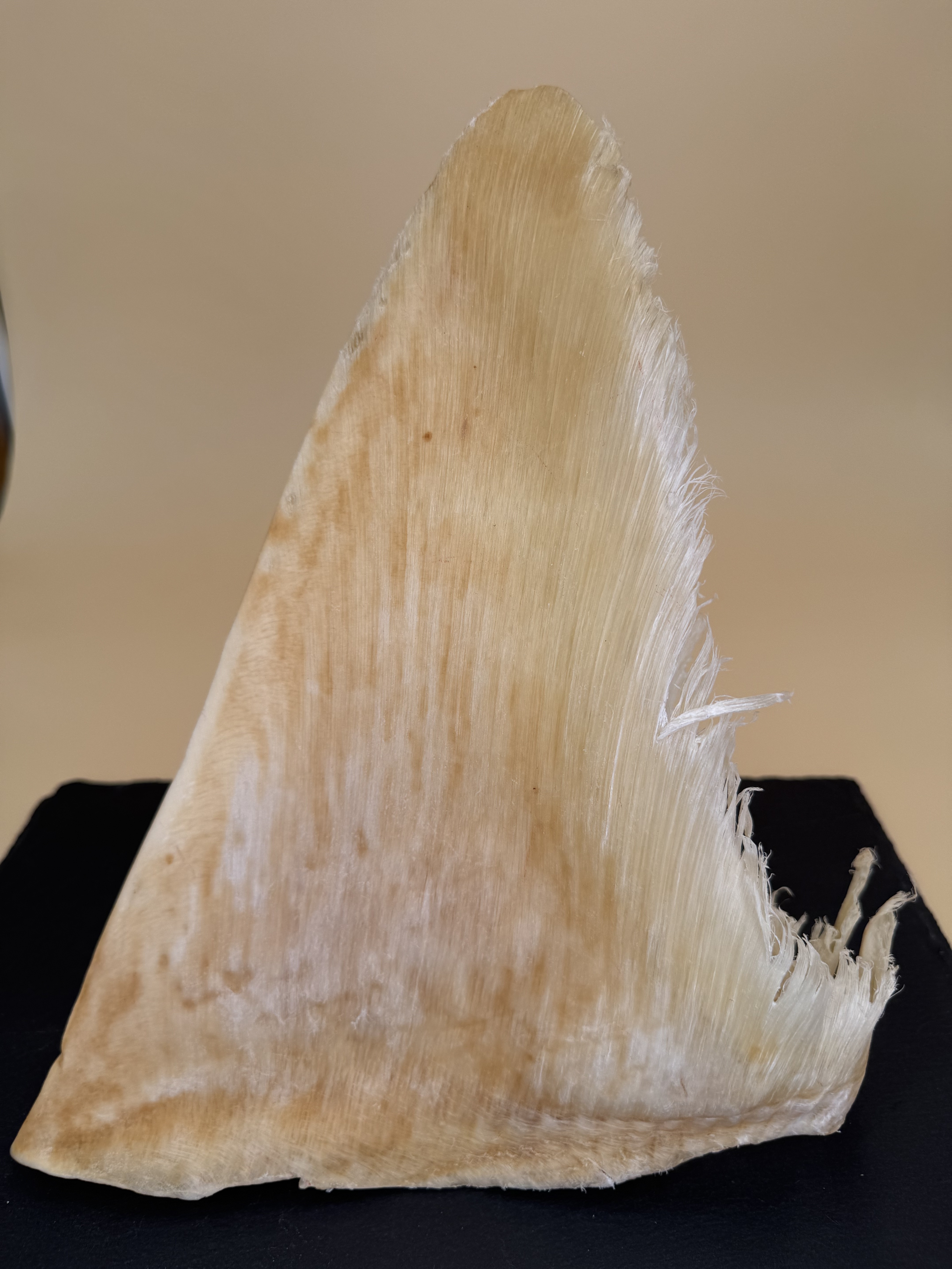 12~15寸粗針大群翅