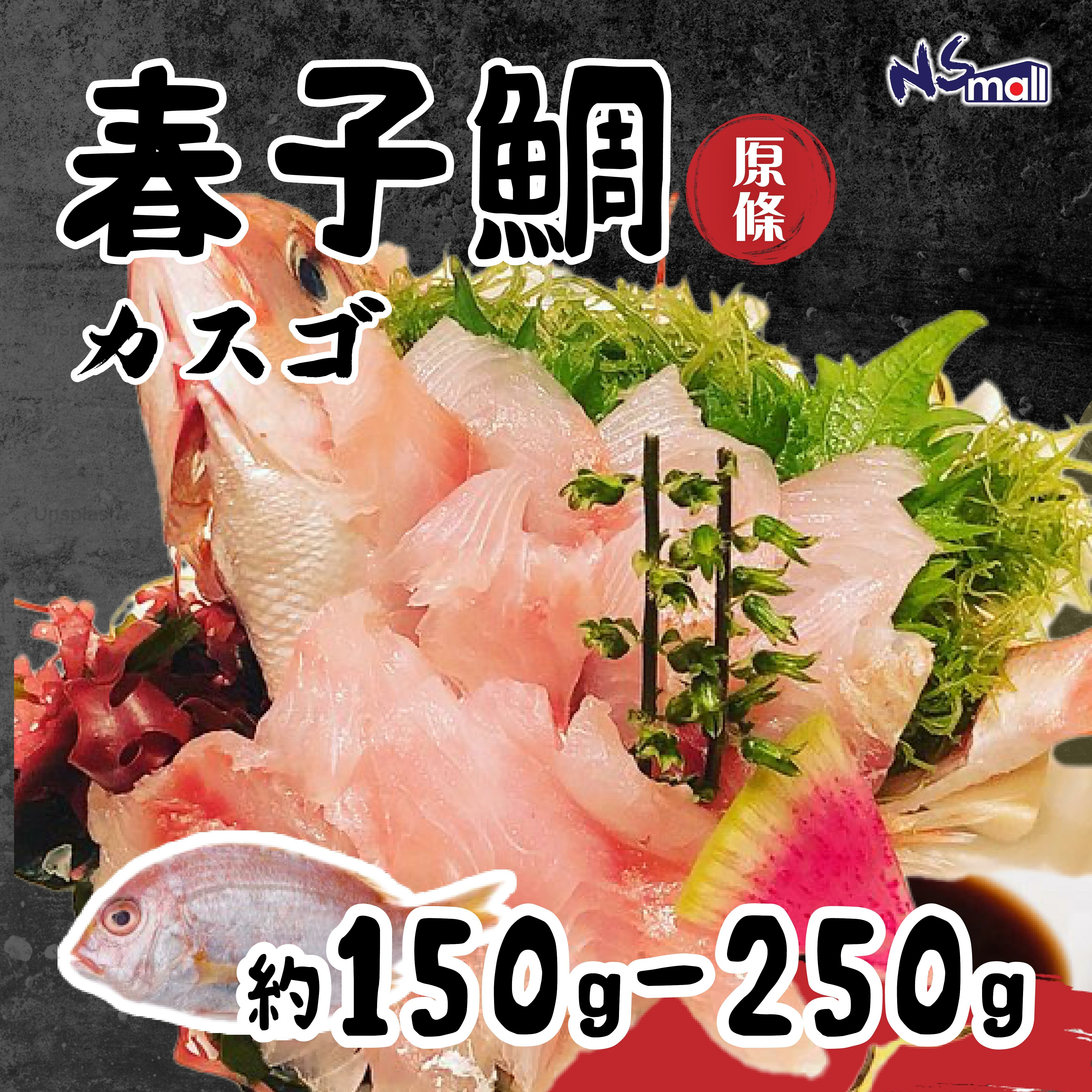 春子鯛 約150-250g/條